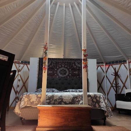 Yurt, Romantico E Luxuoso, Natureza E Cachoeiras Hotel Jacutinga Eksteriør billede